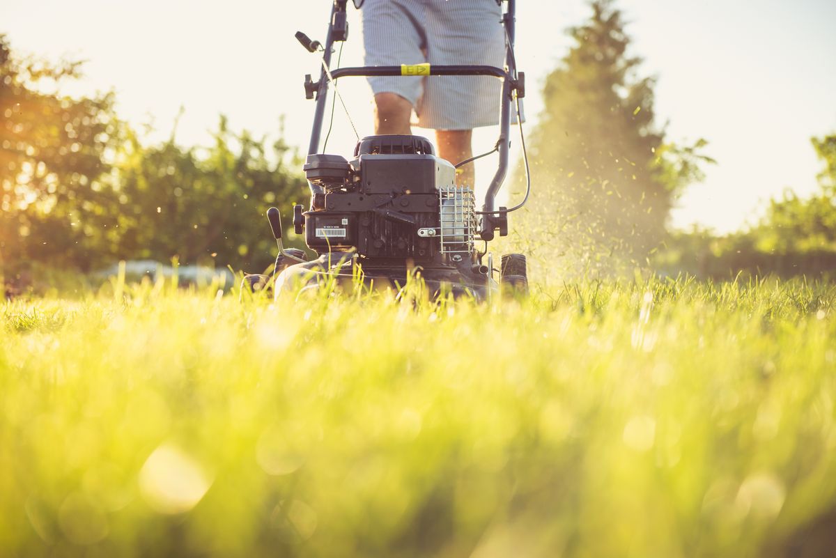 Fresh lawn maintenance and mowing