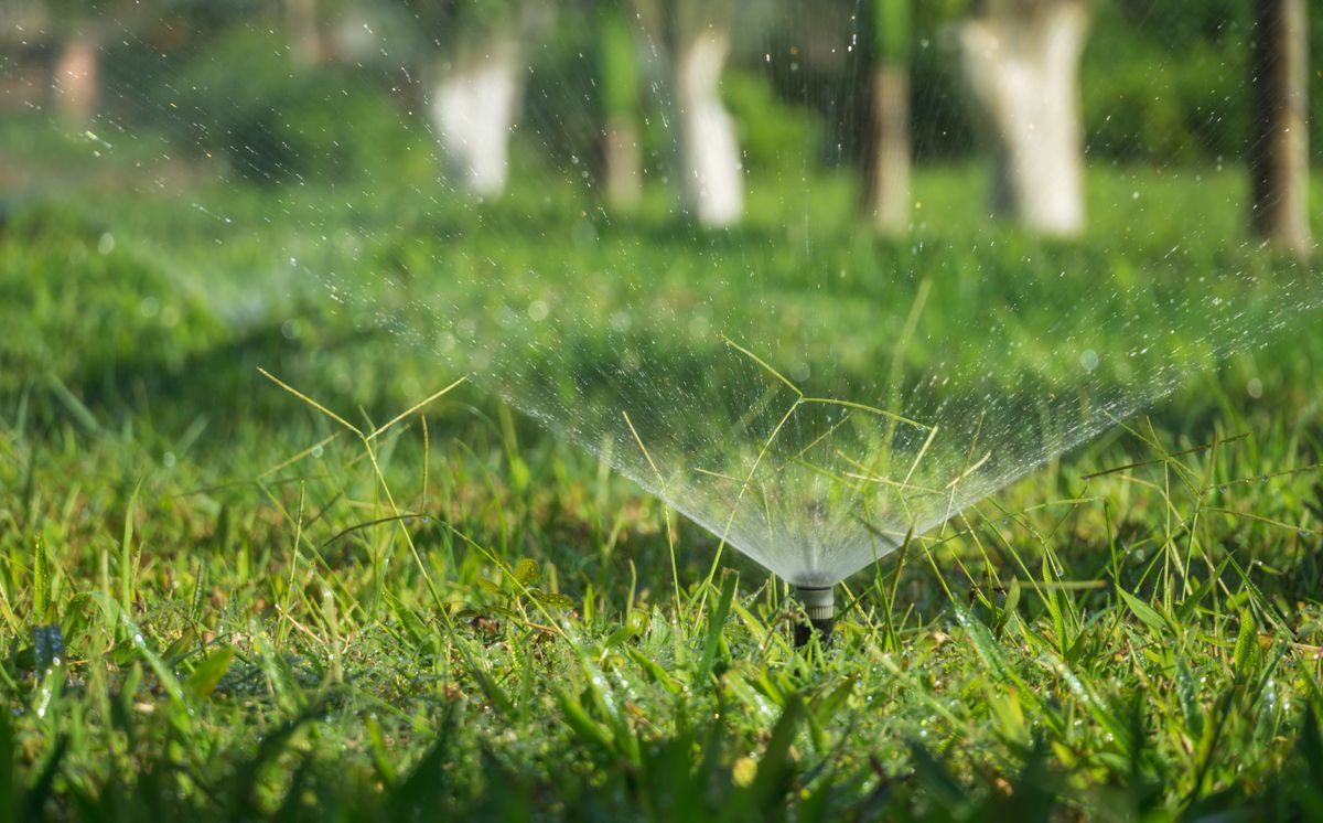 Irrigation sprinkler system in action