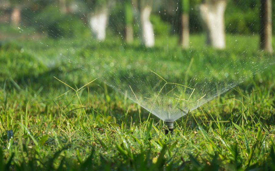 Lawn sprinkler watering green grass